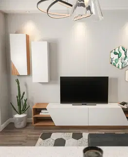 Televizní stolek se skříňkou Zebra White and Teak