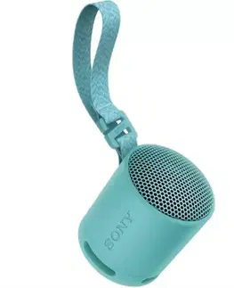 Sony SRS-XB100 Přenosný bezdrátový reproduktor, modrá