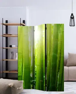 Paraván Sun and bamboo Dekorhome