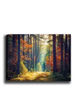 Dekorativní obraz na plátně Kanvas Tablo (50 x 70) - 274