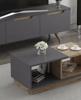 Konferenční stolek Concept Anthracite and Oak