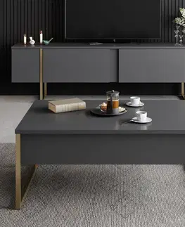 TV stolek Luxe - Anthracite, Gold