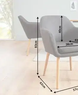 Jídelní křeslo DARDANOS Dekorhome