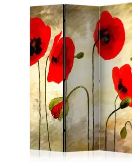 Paraván Golden Field of Poppies Dekorhome