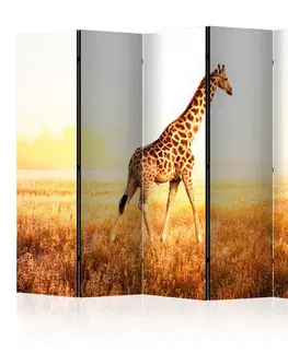 Paraván giraffe - walk Dekorhome