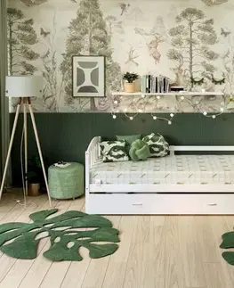 FDM Pěnová matrace LUIGI Aloevera | 70 x 140 cm