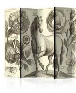 Paraván Horse Dekorhome
