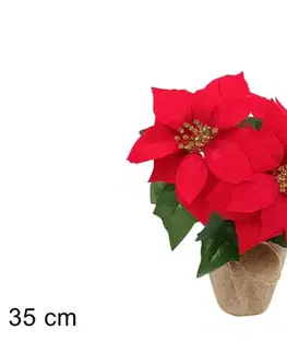 PROHOME - Vánoční růže 35cm juta
