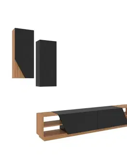 Televizní stolek se skříňkou Zebra Black and Teak