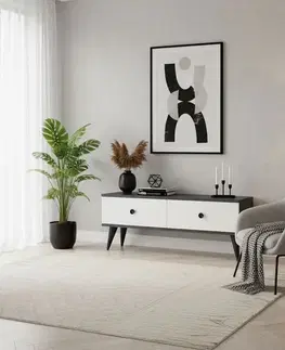 TV stolek Mona 120 - Anthracite, White