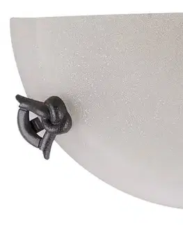 Skleněná nástěnná lampa 60W E27 Eva