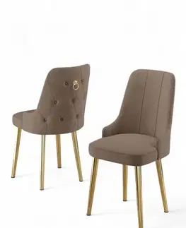 Sada židlí (4 kusy) Newa - Cappuccino, Gold