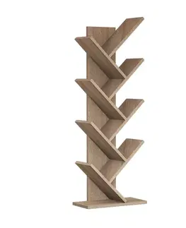 Knihovna Hitit - Walnut