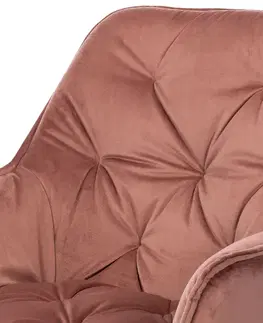 Sada jídelních židlí DCH-421 PINK4, 2 ks