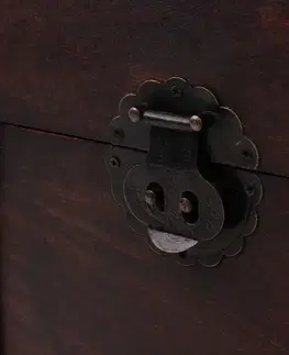 Starožitná dřevěná truhla hnědá Dekorhome