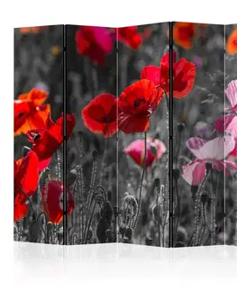 Paraván Red Poppies Dekorhome