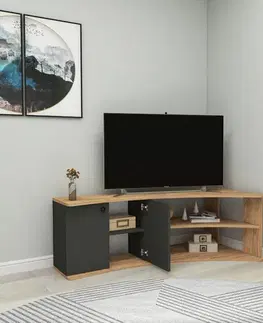 Televizní stolek Temera Atlantic Pine and Anthracite