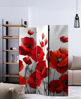 Paraván Poppies in the Moonlight Dekorhome