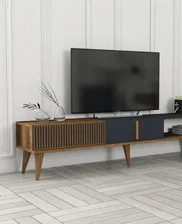 Televizní stolek Milan Alt Anthracite