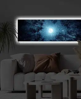 Dekorativní LED osvětlený obraz na plátně 3090KTLGDACT - 011