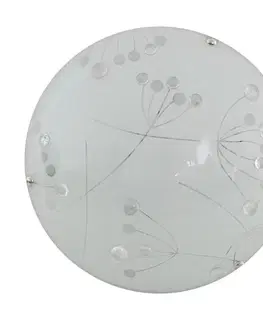 floki stropní svítidlo plafond 30 1x60w E27 transparent