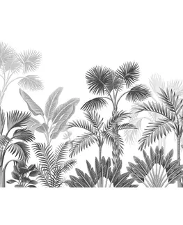 Fototapeta XXL Jungle 360 x 254 cm, 8 dílů