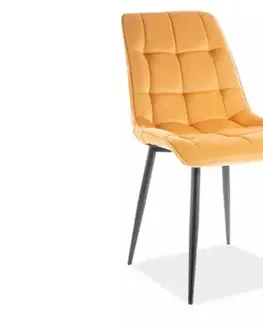 Signal Jídelní židle CHIC VELVET | černé nohy Barva: Granátová / Bluvel 86