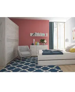 Úložný prostor pod postel ANGEL Typ 96 Tempo Kondela
