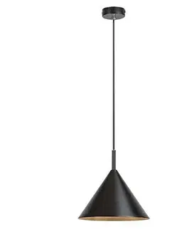 Rabalux 72007 závěsné svítidlo Jarod, černá