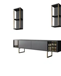 TV stěna / Sestava pod TV Gold Line - Anthracite, Black