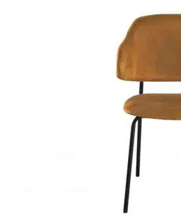 Jídelní židle 2 ks CHRYSAOR Dekorhome