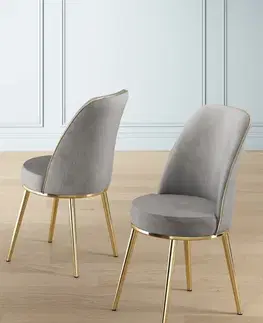 Sada židlí (2 kusy) Pefa - Grey, Gold