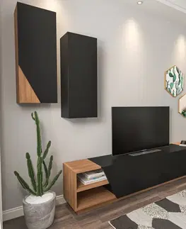 TV stěna / Sestava pod TV Zebra - Black, Teak