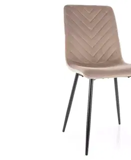 Židle Daren Velvet
