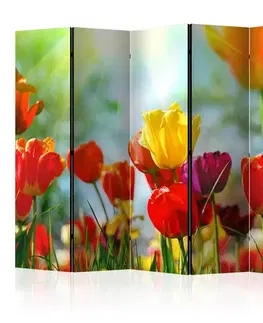 Paraván Spring Tulips II Dekorhome