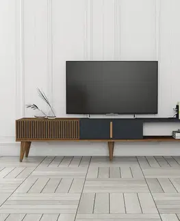 Televizní stolek Milan Alt Anthracite