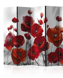 Paraván Poppies in the Moonlight Dekorhome