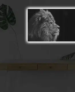 Dekorativní LED osvětlený obraz na plátně 4570DHDACT-058