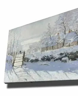 Dekorativní obraz na plátně 70100MONET014