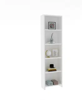 Knihovna Barkin White