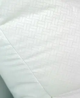 Kvalitex Letní polštář COOL EFECT 500g, 50 x 70 cm