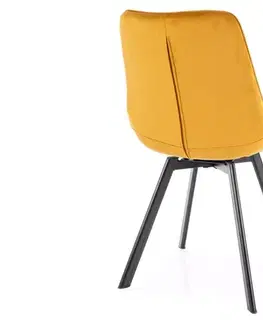 Židle Monti Velvet