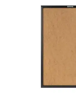 Dekorativní obraz na plátně 4570NISC-024