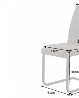 Jídelní židle 2 ks TRITON Dekorhome