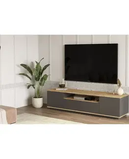 Televizní stolek Fran Atlantic Pine and Anthracite