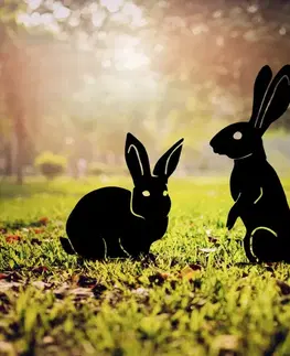 Decorative Garden Object Set (2 Pieces) RaAbbits 01