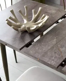 Extendable Dining Table Ay - 1181