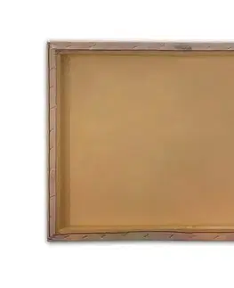 Dekorativní obraz na plátně Kanvas Tablo (50 x 70) - 286 - POSLEDNÍ KUS