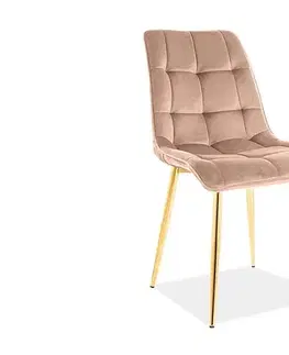 Jídelní židle CHIC VELVET zlatá Signal