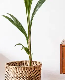 Stolní lampa SATTI šedozelená keramická se stínidlem E14 1x40W elegantní dekorativní do obývacího pokoje, ložnice, pracovny, klasický styl